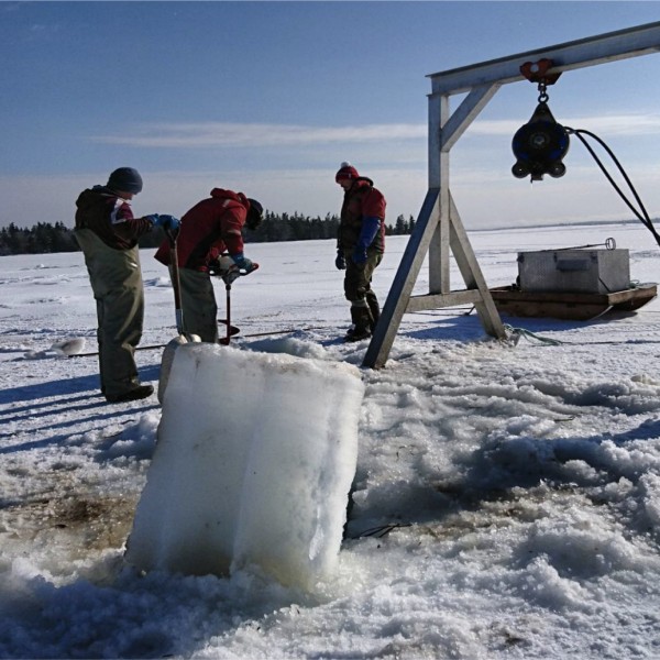 Récolte hivernale 
