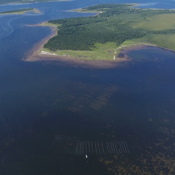 Saint-Simon Bay